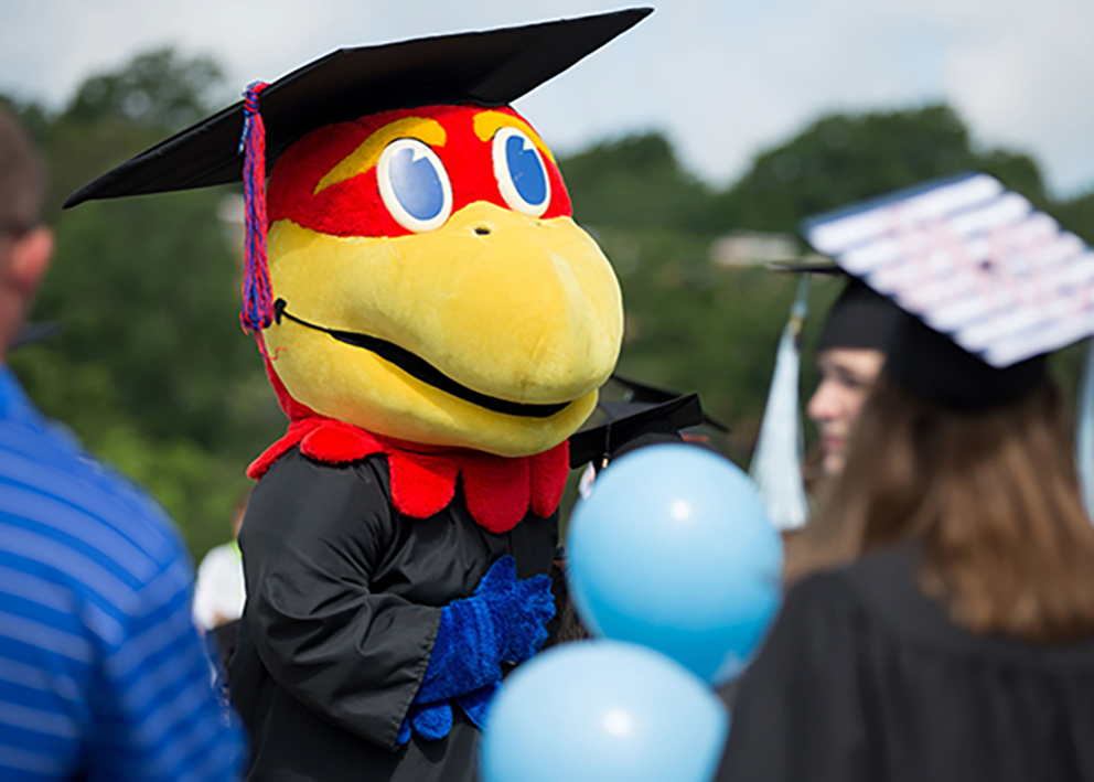 Jayhawk